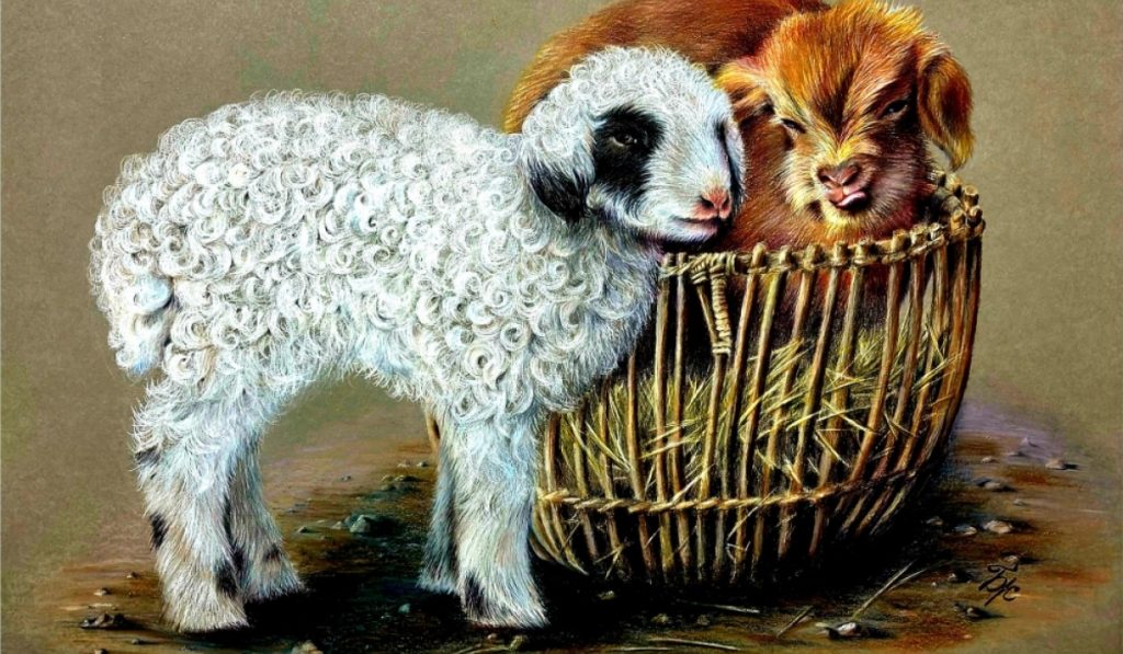 “Харандааны хаан” үзэсгэлэн өнөөдөр нээнэ