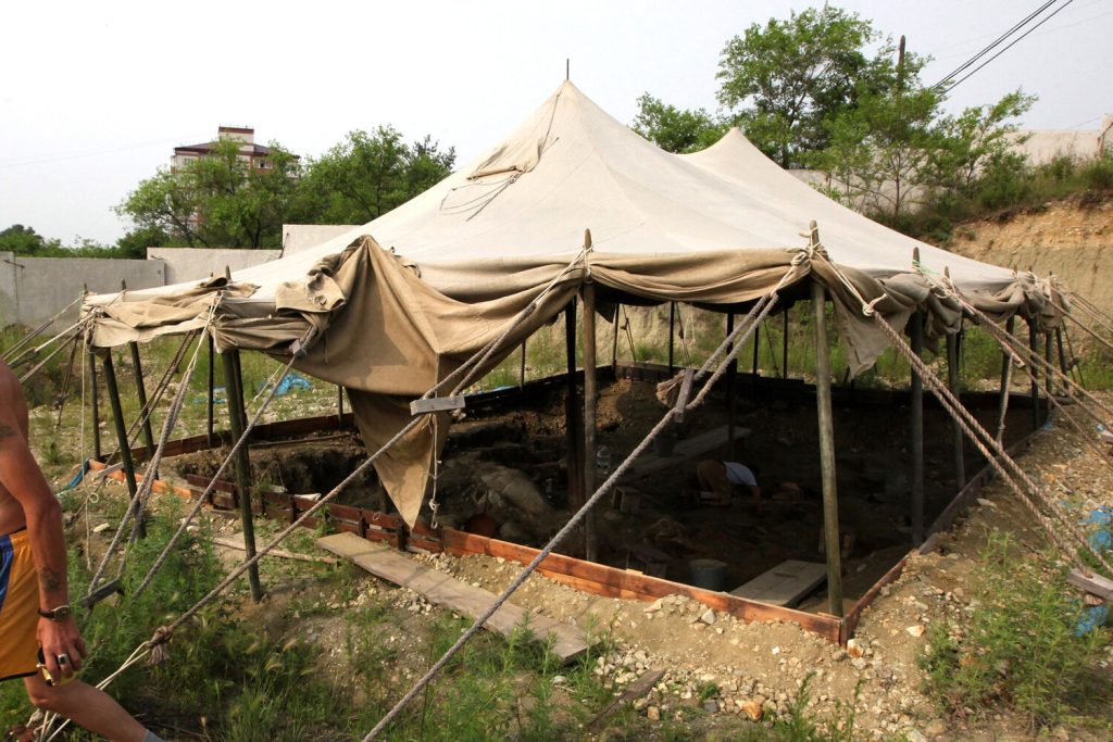 Үлэг гүрвэлүүдийн “оршуулгын газар” аялал жуулчлалын үзмэр болгоно