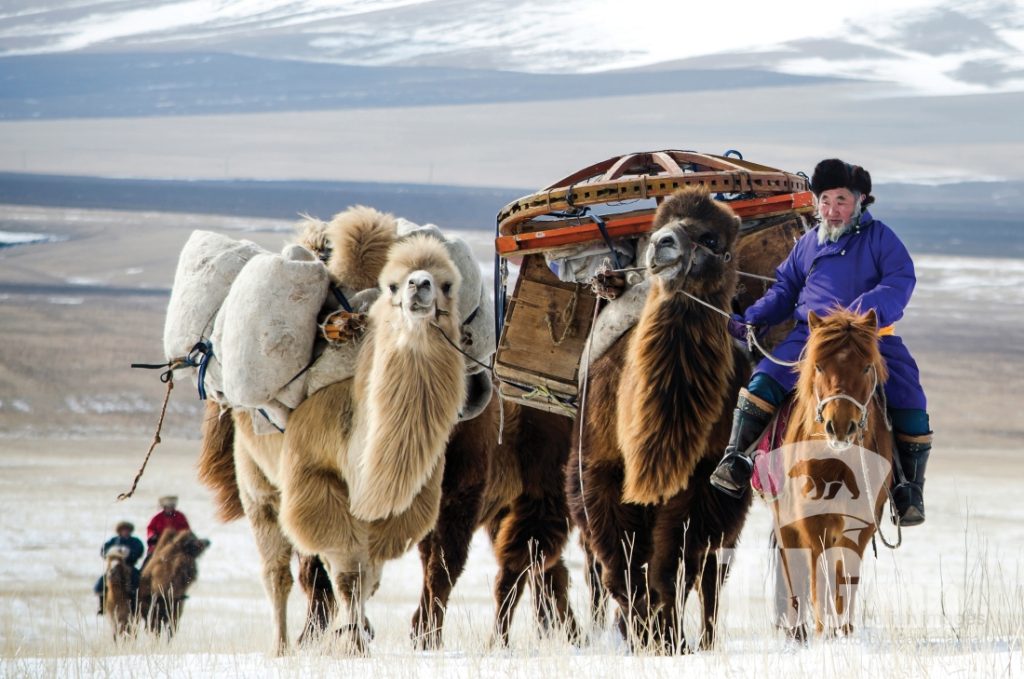 “Монгол нүүдлийн зан үйл” өв ЮНЕСКО-д бүртгэгдлээ