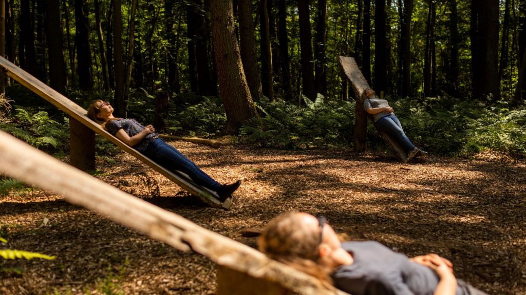 Японы “ойд умбах” буюу “forest bathing” стресс тайлах эмчилгээ дэлхий даяар түгж байна