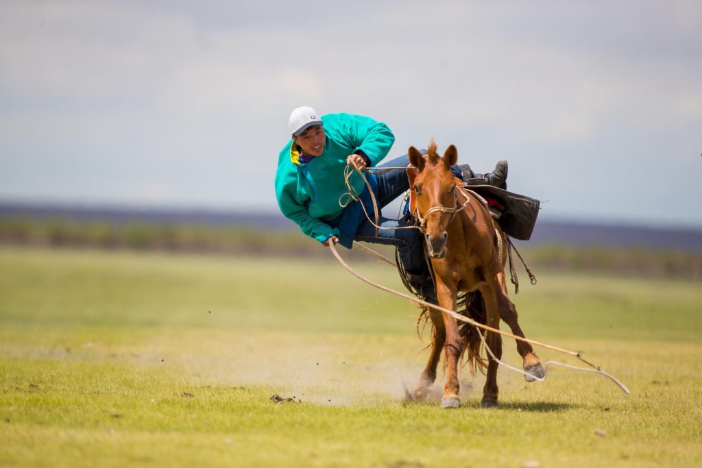 “Адууны өв соёлын баяр” болно