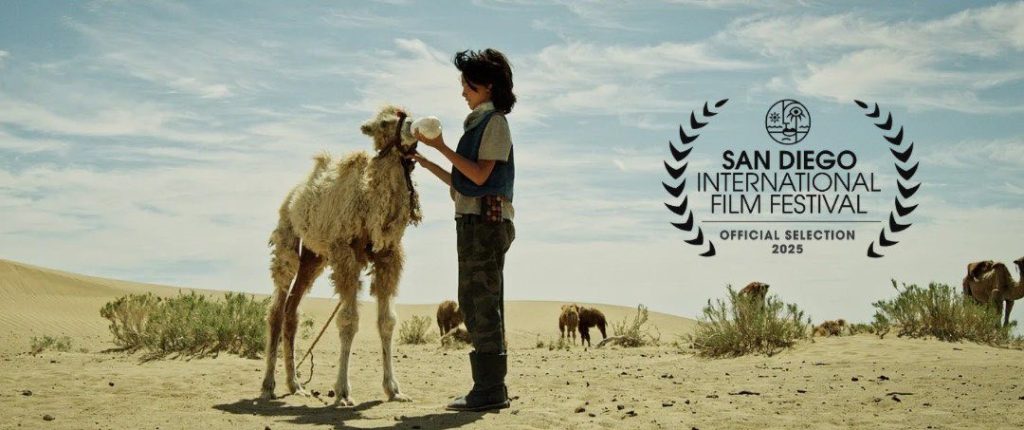 “Хувь заяа” кино олон улсын наадамд шилдгээр шалгарлаа