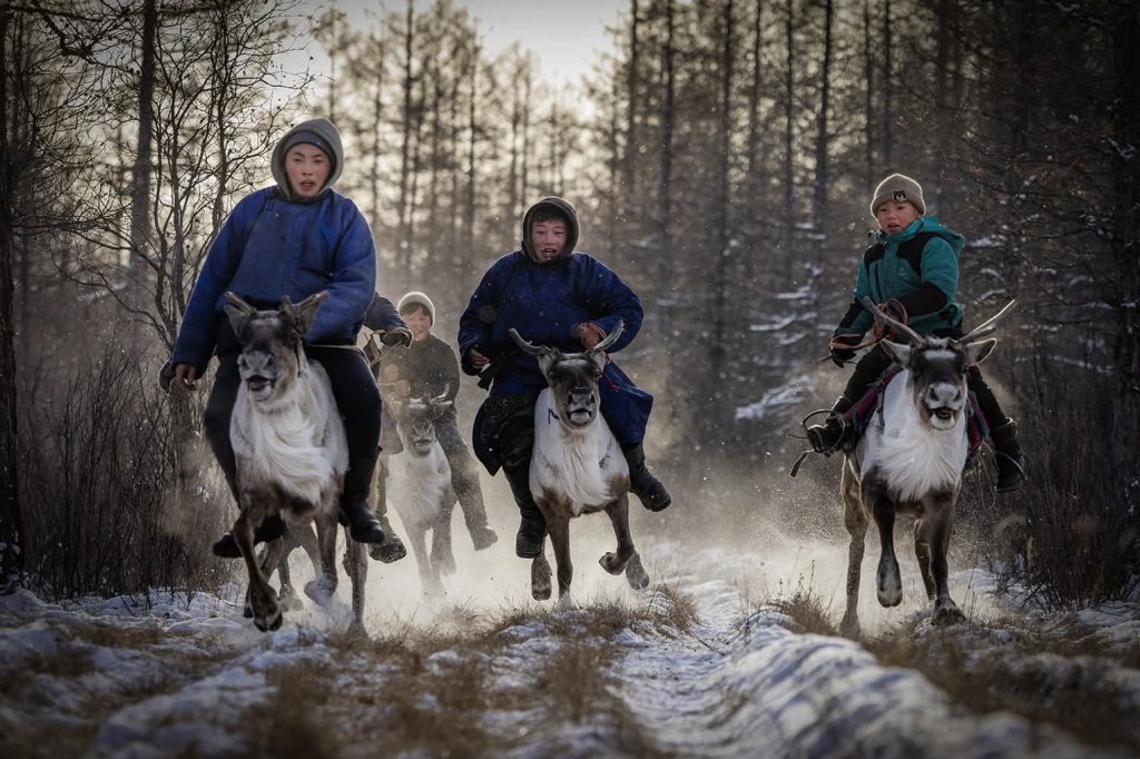 “Монголын байгалийн шилдэг гэрэл зураг-2025” үзэсгэлэнг нээнэ