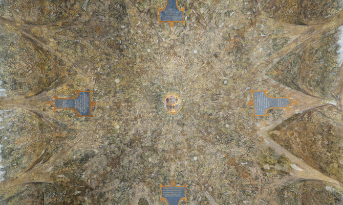 Леонардо да Винчигийн ханын зургийг нийтэд ил болгоно