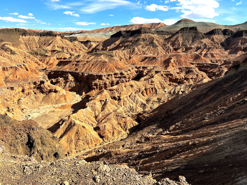Палеонтологийн дурсгалт Өөш шахлаг