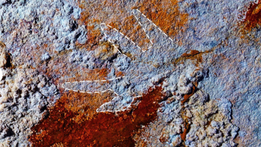 Хамгийн эртний хадны зураг Индонезид олджээ