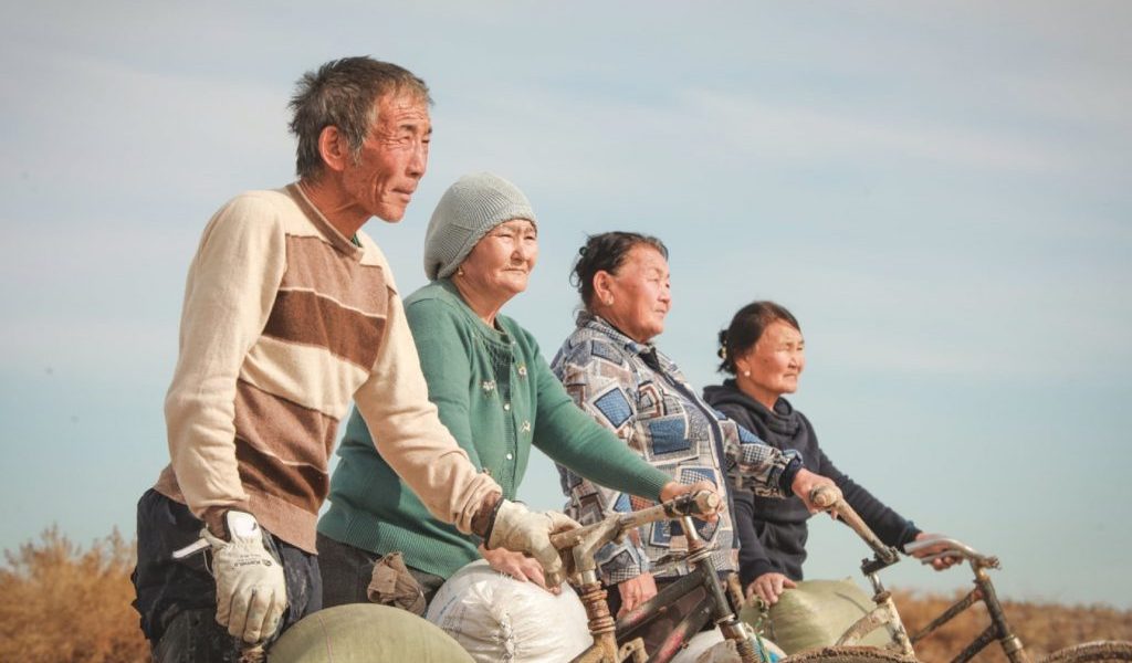 “Давс үүрсэн 40 жил” тэргүүтэй гурван киног Кино урлагийг дэмжих сангаас санхүүжүүлнэ